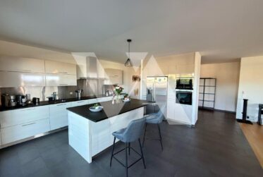 A vendre - Attique lumineux de 5.5 pièces avec grande terrasse et vue sur le lac