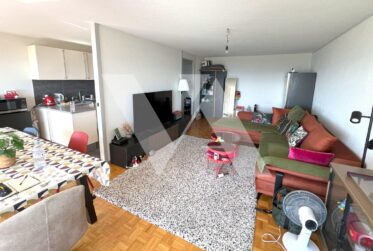 For Sale - 3.5-Room Apartment with Lake View