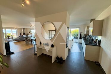 A vendre - Attique lumineux de 5.5 pièces avec grande terrasse et vue sur le lac