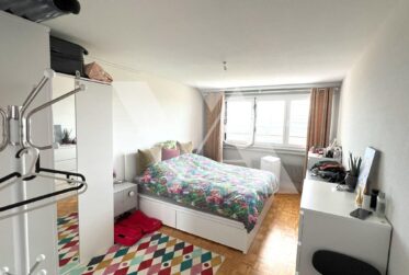 For Sale - 3.5-Room Apartment with Lake View