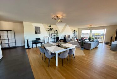 A vendre - Attique lumineux de 5.5 pièces avec grande terrasse et vue sur le lac
