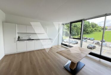 A vendre - Immeuble commercial 100% loué