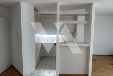 À louer - charmant appartement de 3.5 pièces avec terrasse et accès jardin