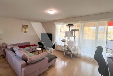 A louer - Appartement de 3 pièces avec terrasses, en plein centre de Gland