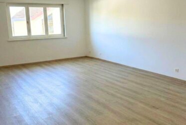 For rent - Fully renovated 3.5-room apartment in the City Center